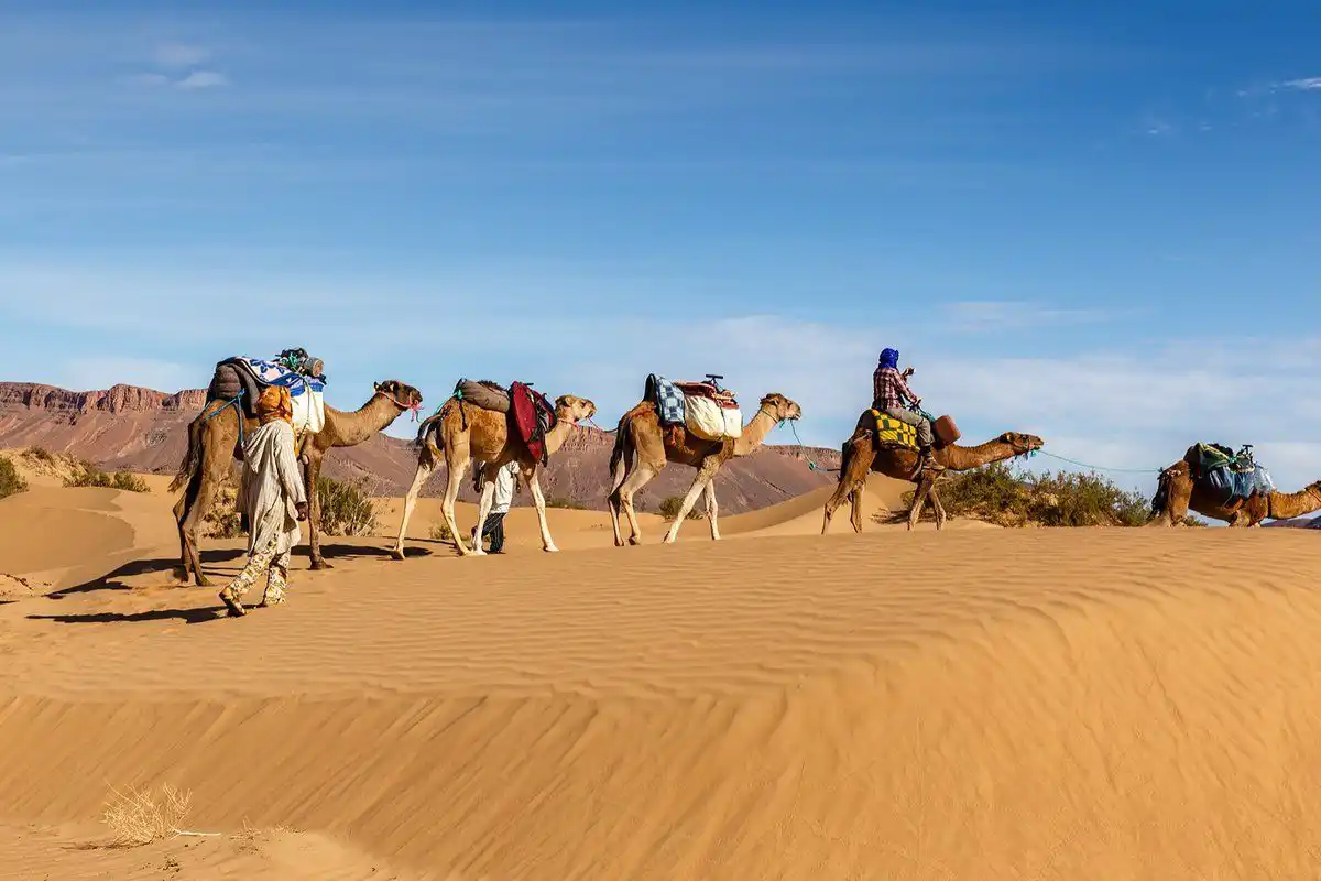 Sahara Desert Tour from Marrakech camel trek in Merzouga dunes Private tours Morocco