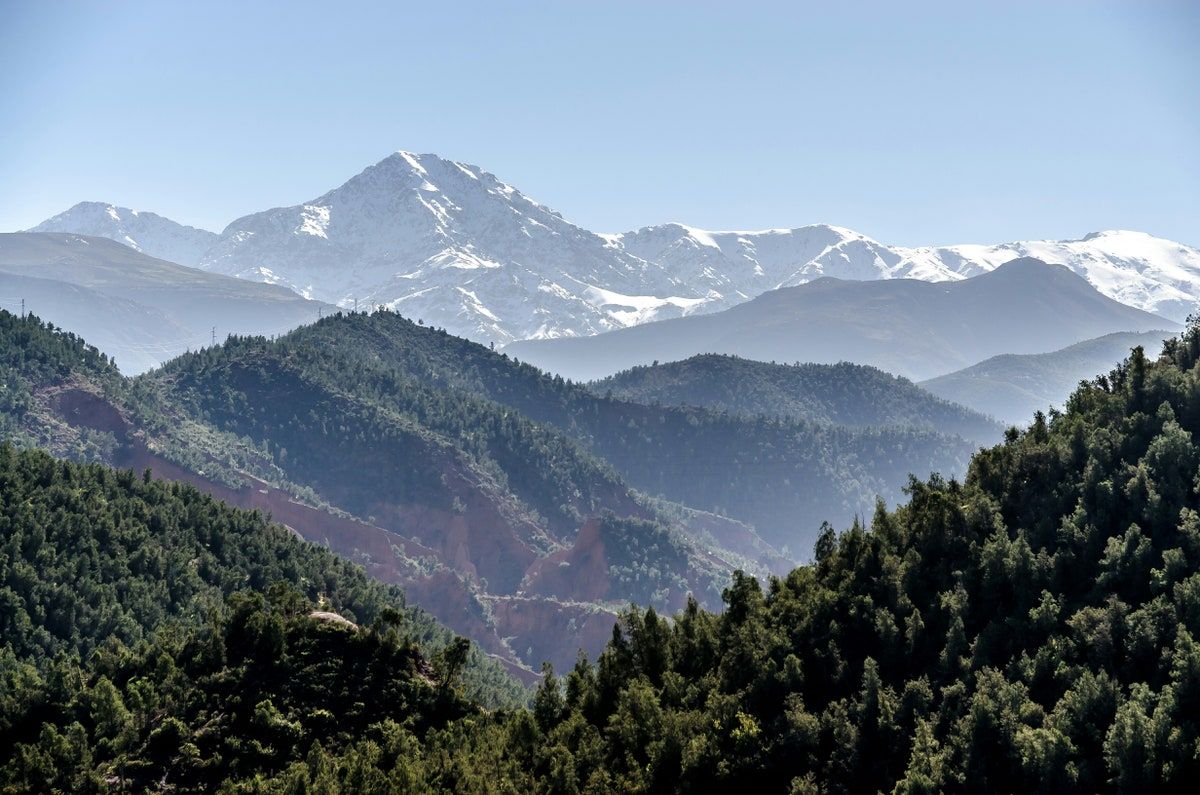 Vue panoramique sur les paysages verdoyants et les forêts des Montagnes de l'Atlas au Maroc.