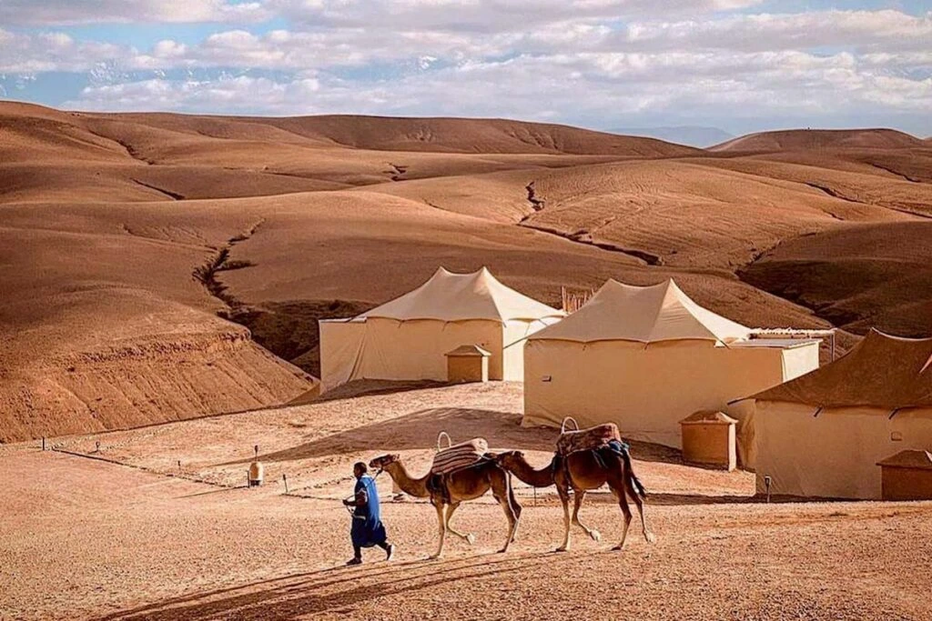 Place to visit in Marrakech